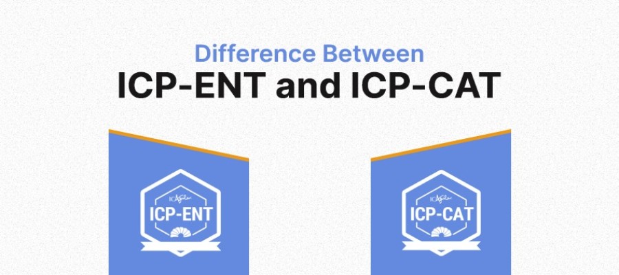 What is the focus of ICP-ENT and ICP-CAT Programs?