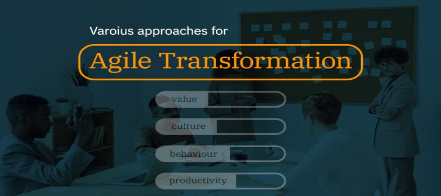 Exploring Agile Transformation: Diverse Approaches for Success